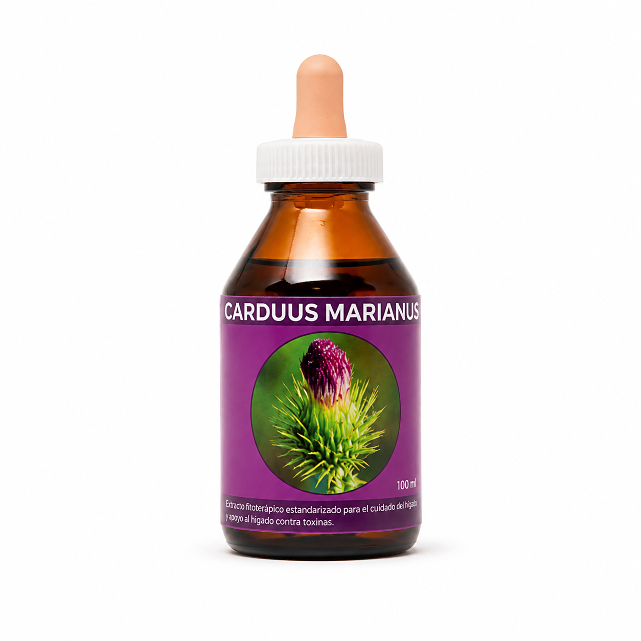 CARDO SANTO   ( Carduus marianus )