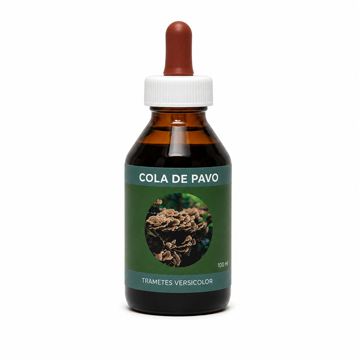 COLA DE PAVO (Trametes Versicolor)