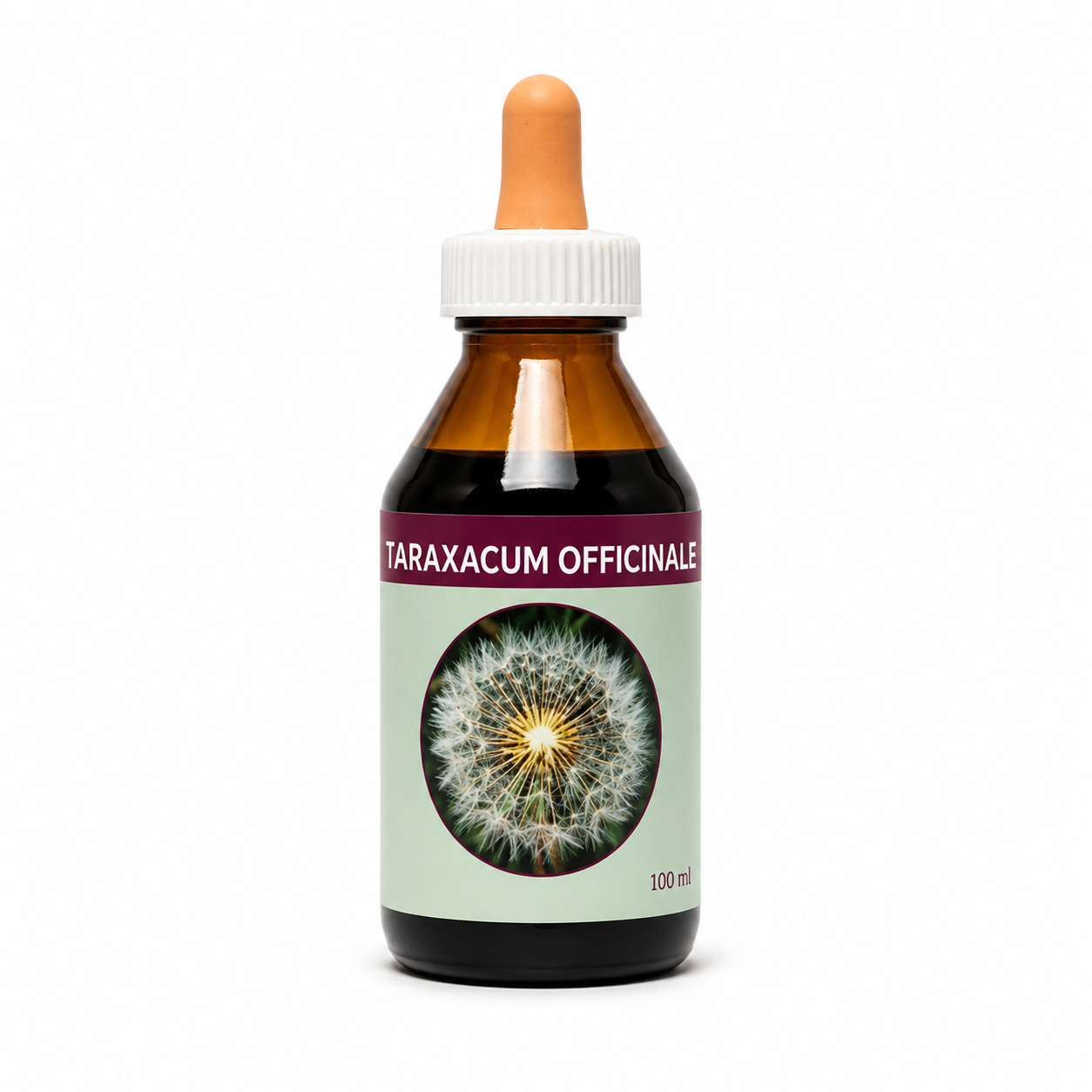 DIENTE DE LEON  ( Taraxacum officinale)
