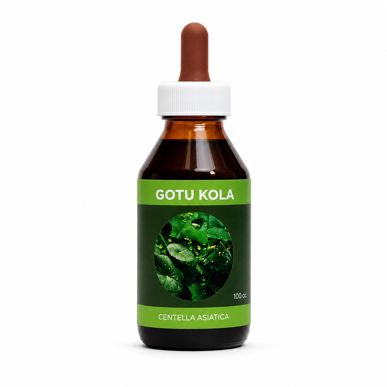 GOTU KOLA  (Centella asiática)