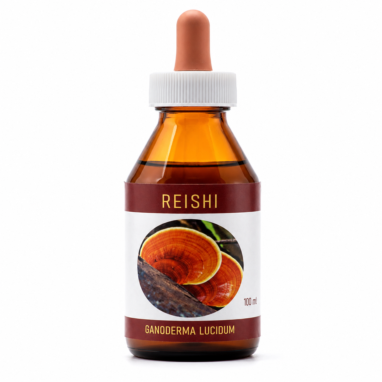 REIHSI