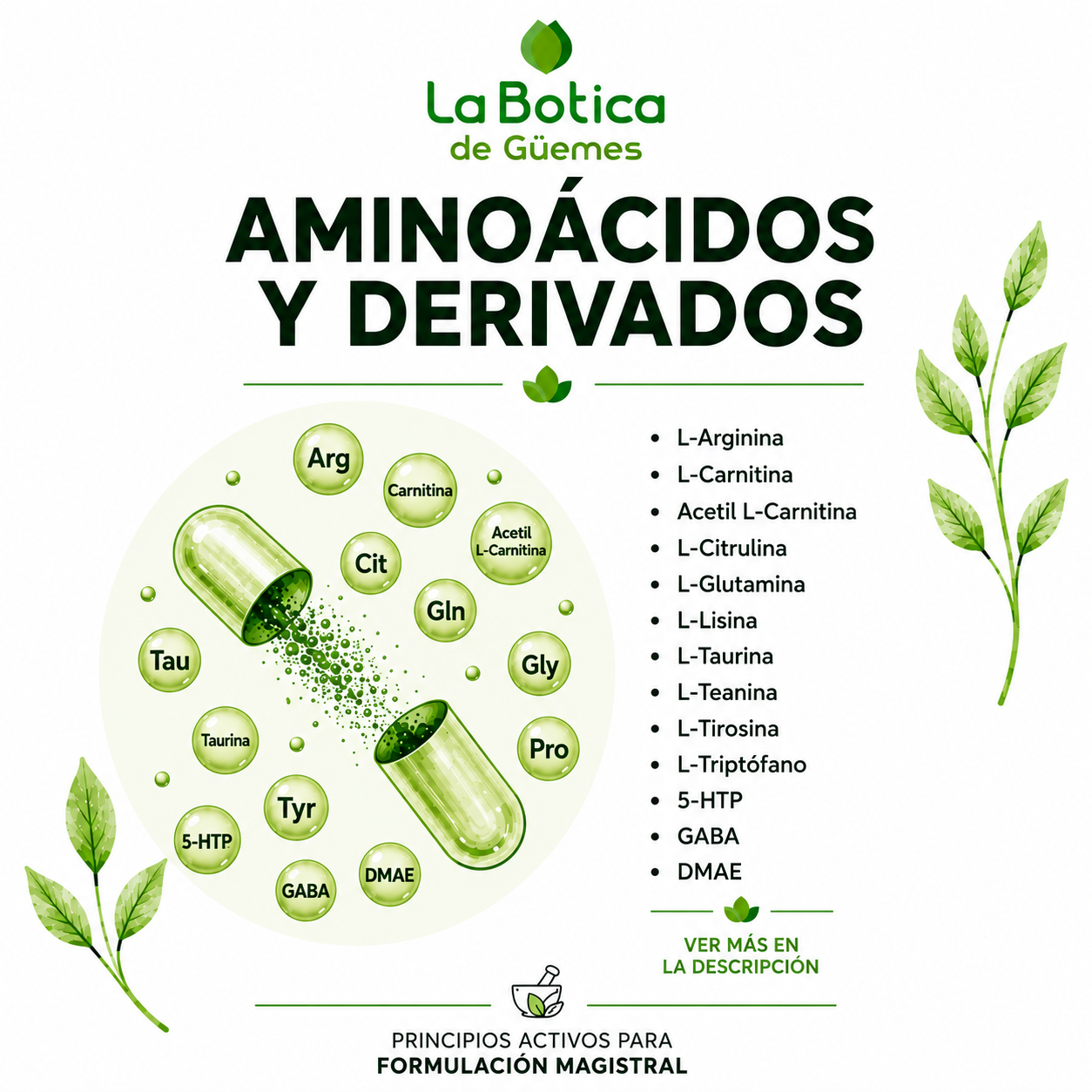 AMINOACIDOS Y DERIVADOS