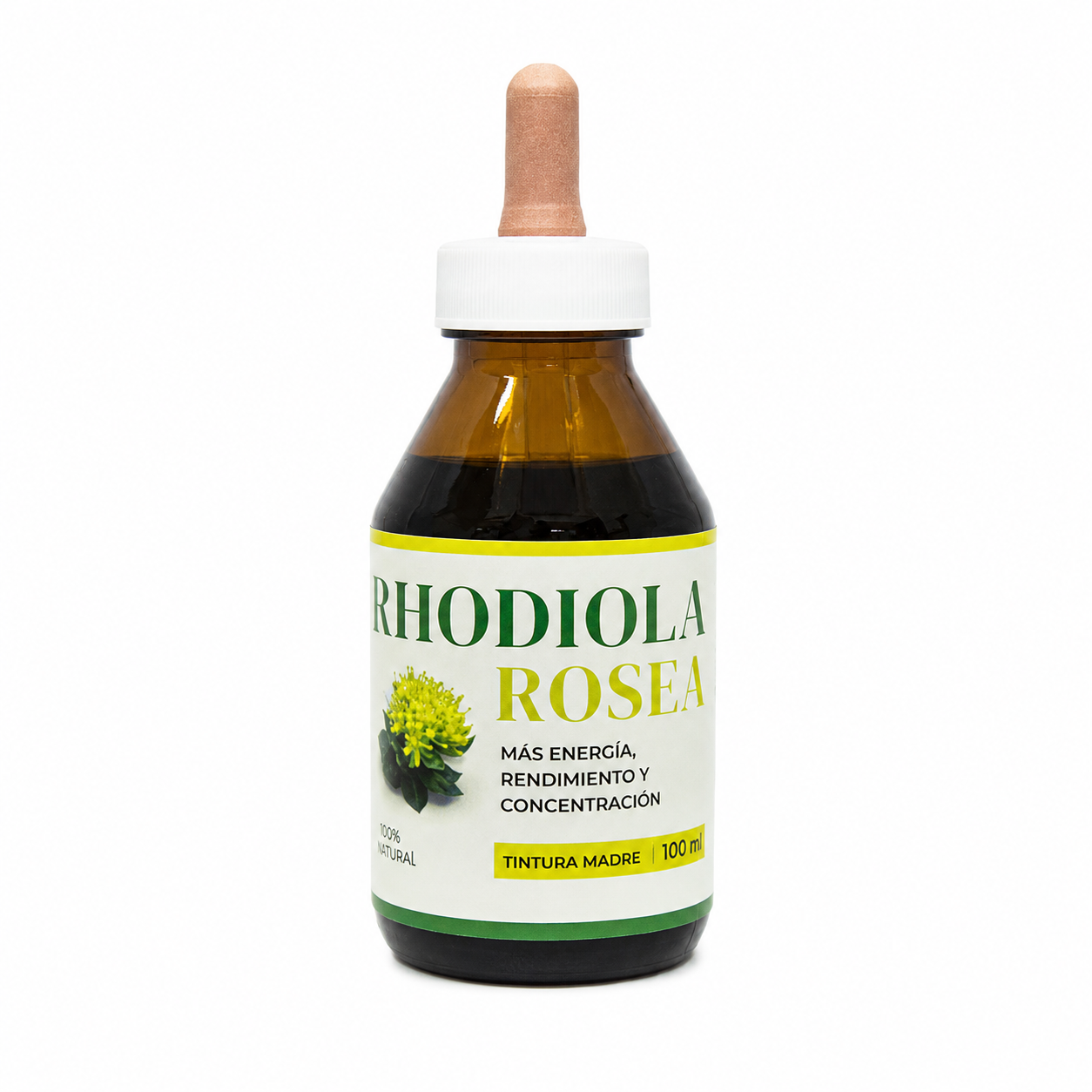 RHODIOLA ROSEA