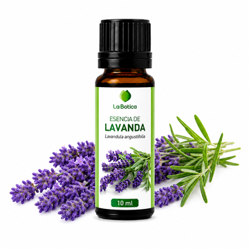 ESENCIA DE LAVANDA