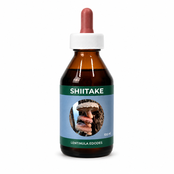 SHIITAKE