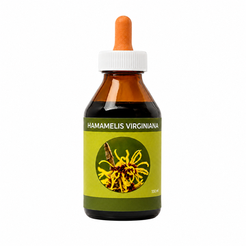   HAMAMELIS (Hamamelis virginiana)